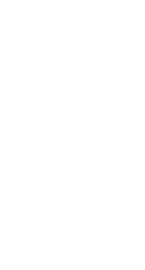 Saga Logo White